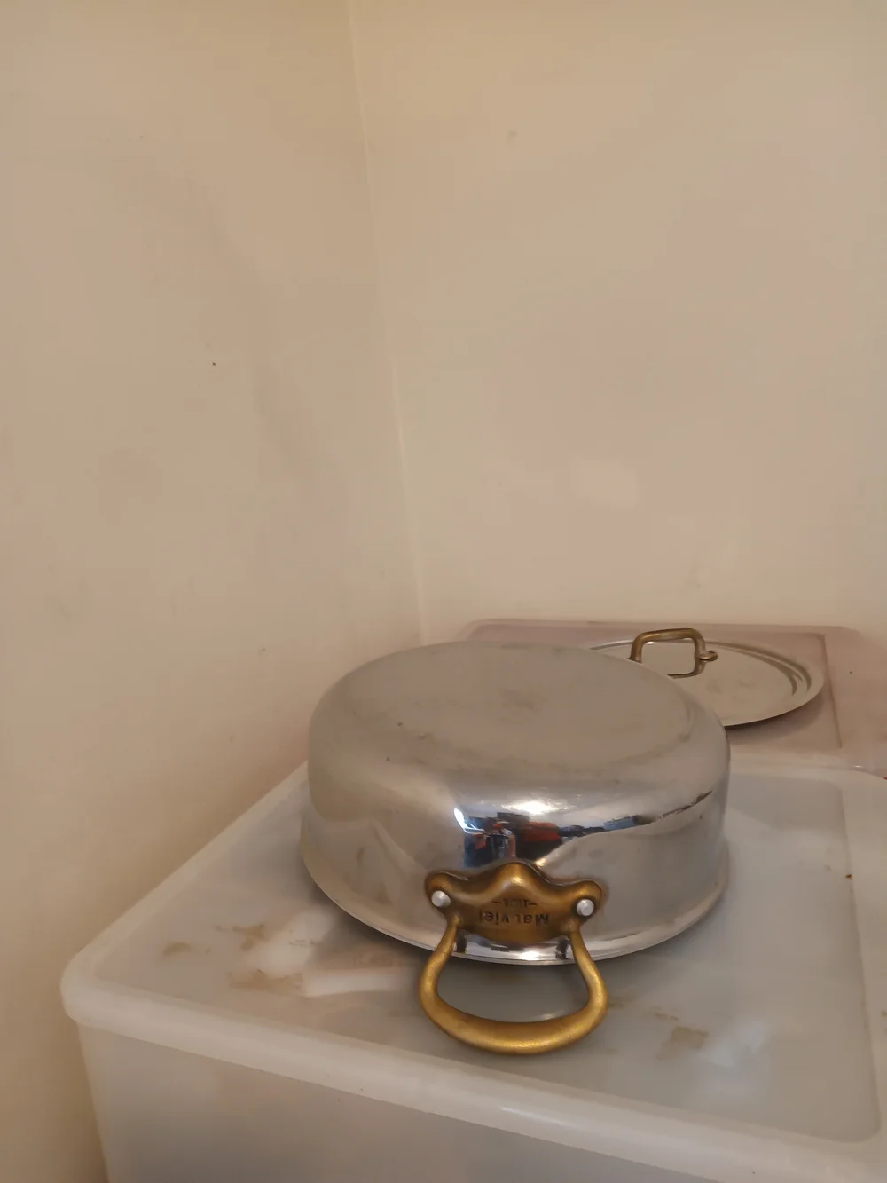 Stainless Steel Covered Rondeau Pan with Brass-Tone Handles - Silver